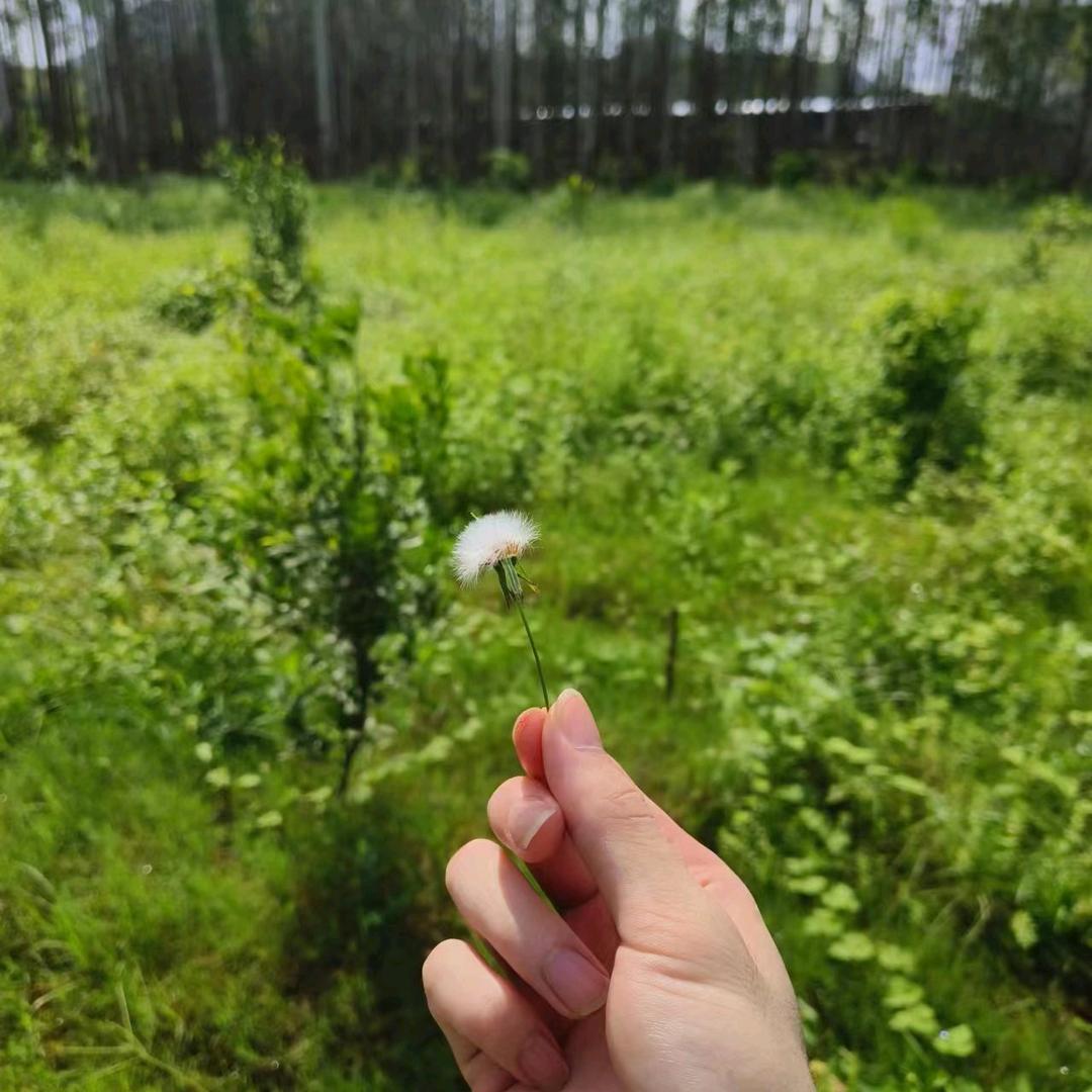 天天快乐🌴🌴