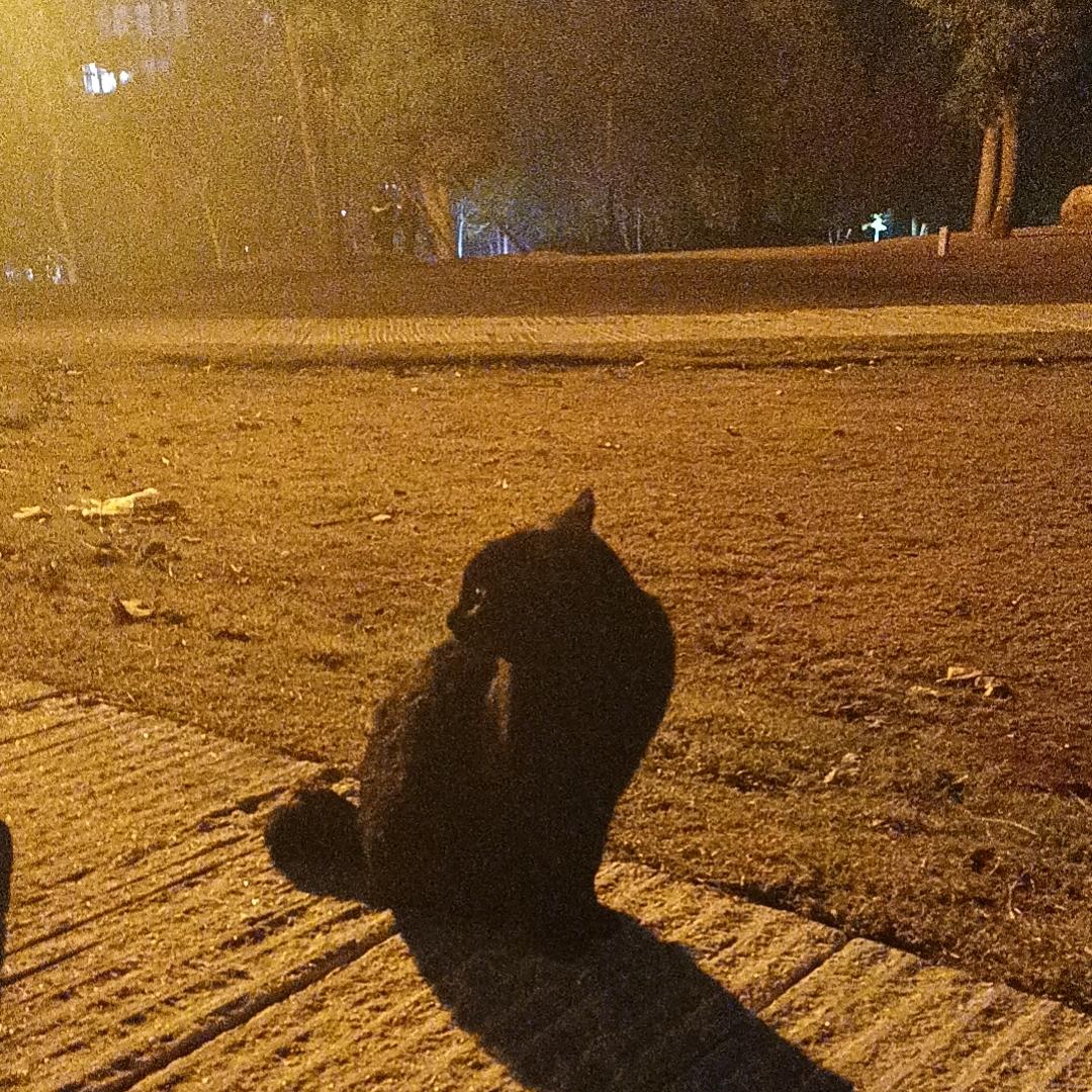 小白~