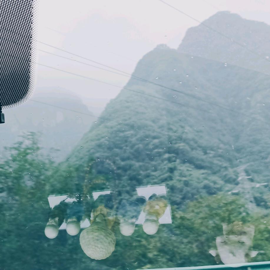 小草🖐