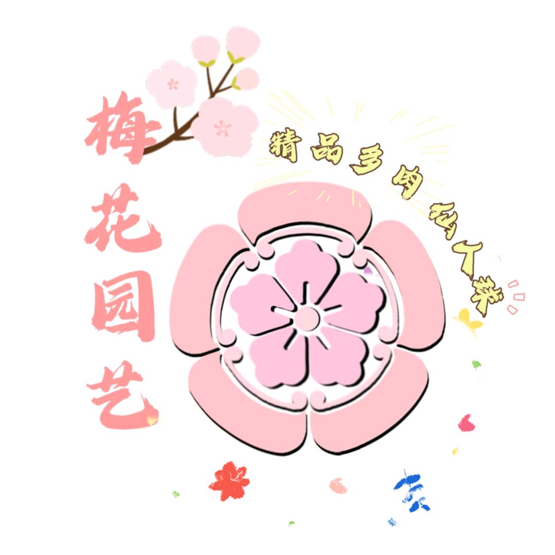 梅花精品仙人球园艺