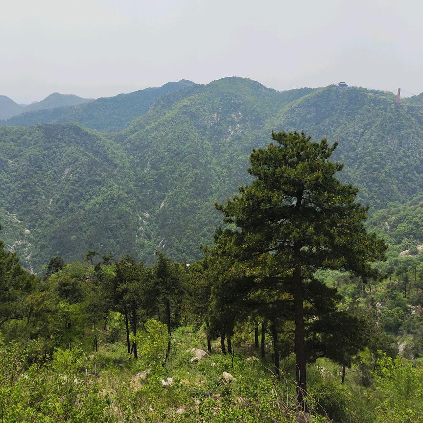 幸🌸福🌴人🍅生🌾