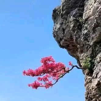 旮旯