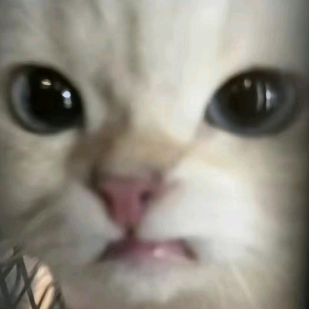 随的土豆梨o.O
