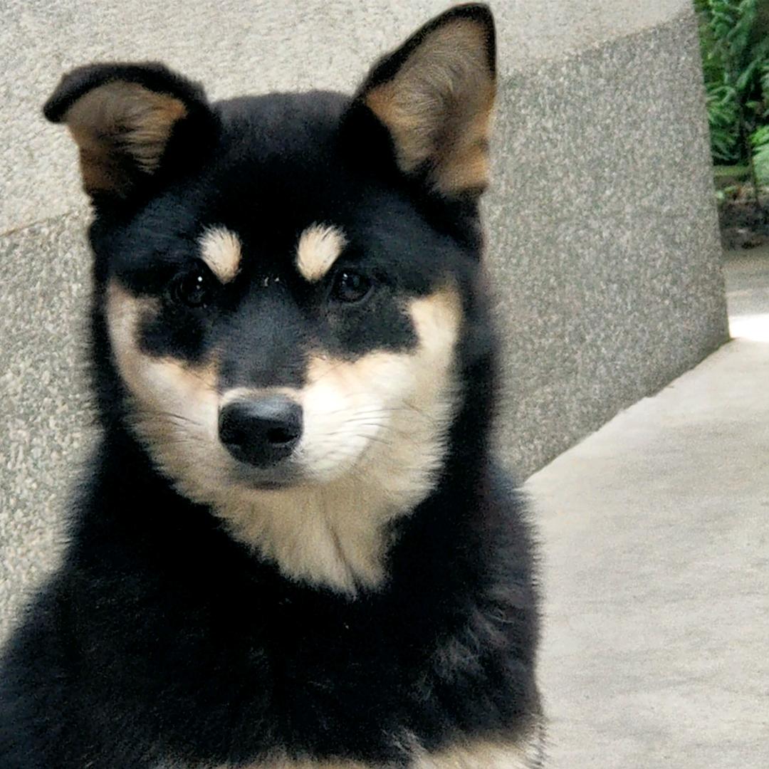 不想戴眼镜👿