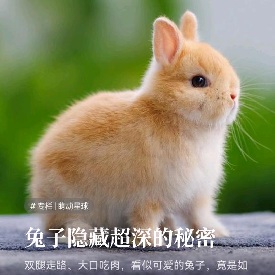 沉默😶