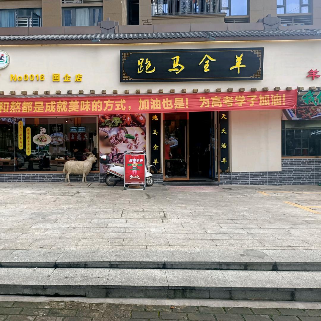 跑马全羊国企店  小美