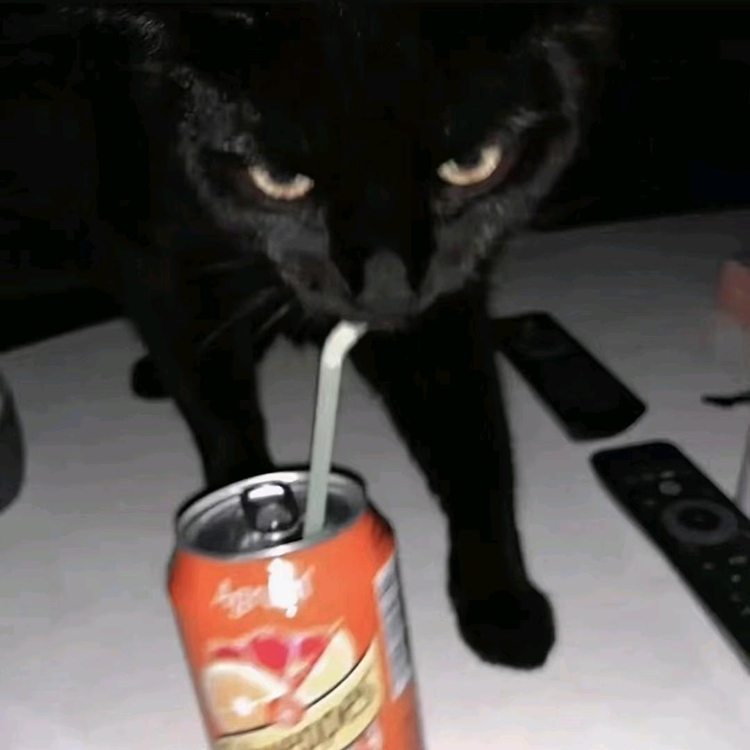 肥蛇（爱玩这一块）