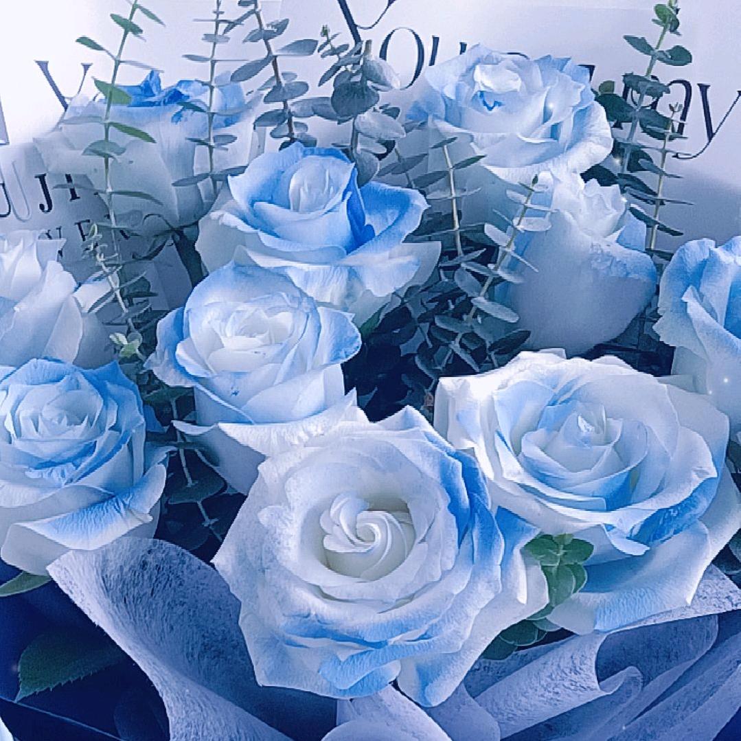 ༊🌺ꦿ꯭꧔ꦿ᭄楊家菇涼꧔ꦿএ᭄ ࿐้