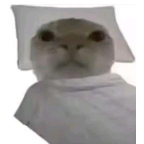 鼠