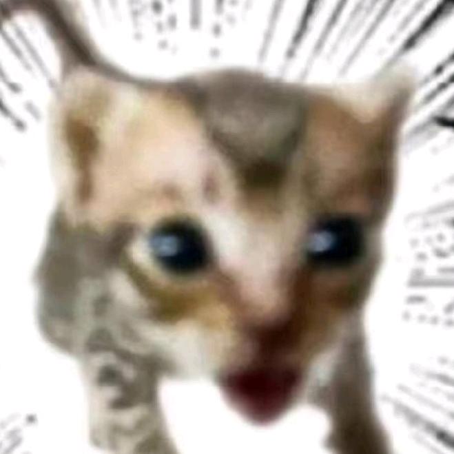 hjm