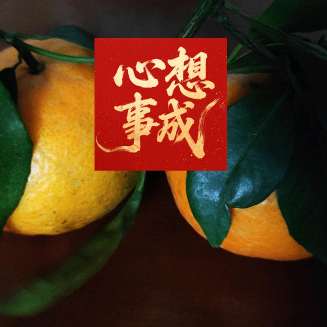 用户2590862457291