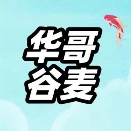 华哥野战谷麦