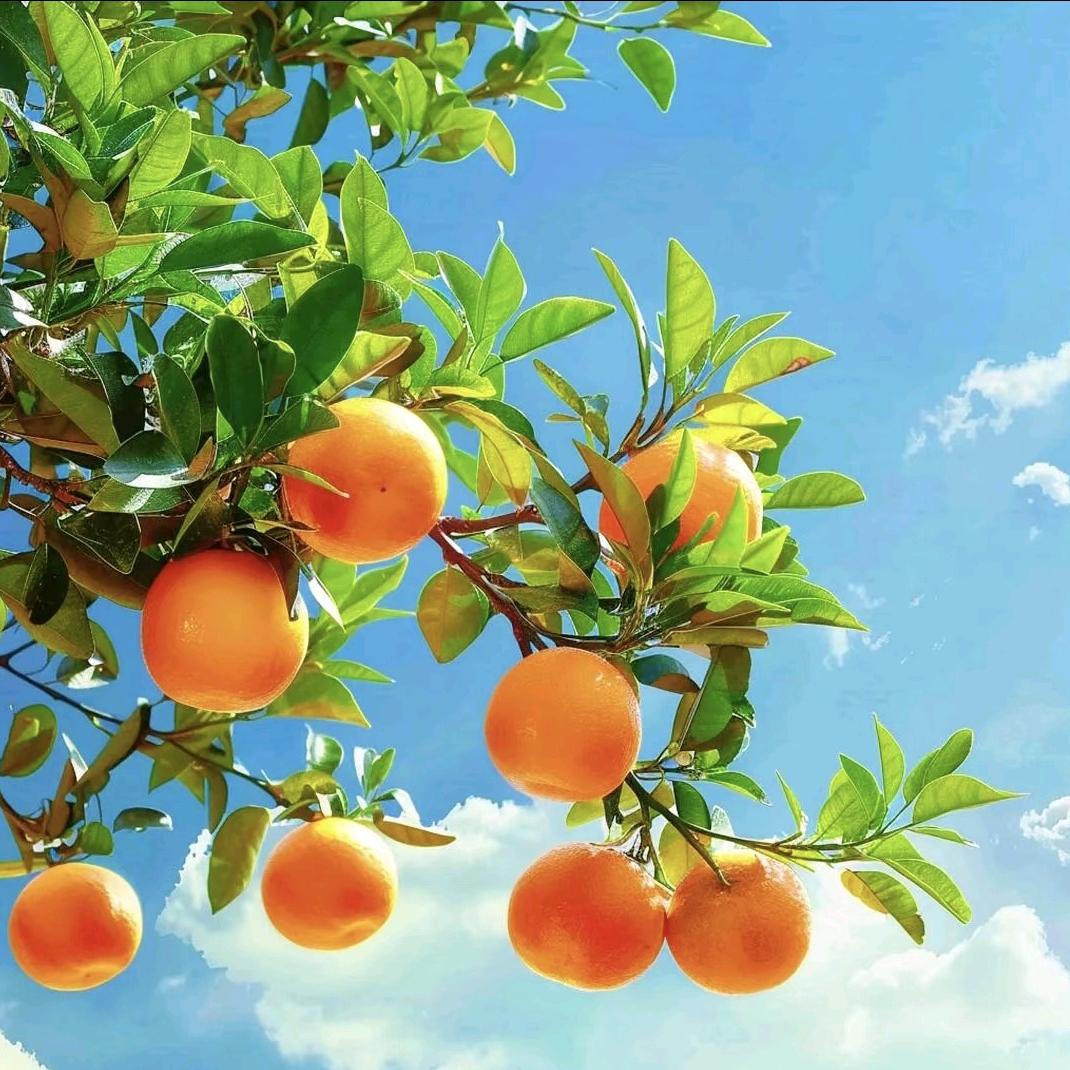 亚亚老师面部课堂