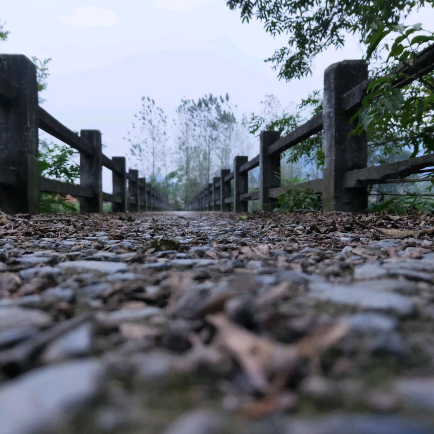 ㅤㅤㅤㅤㅤㅤㅤㅤㅤㅤㅤㅤㅤㅤㅤㅤ