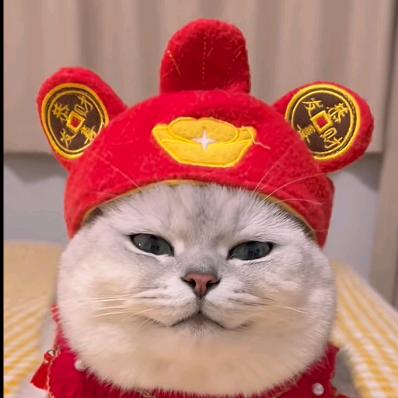 叮当艾特满满