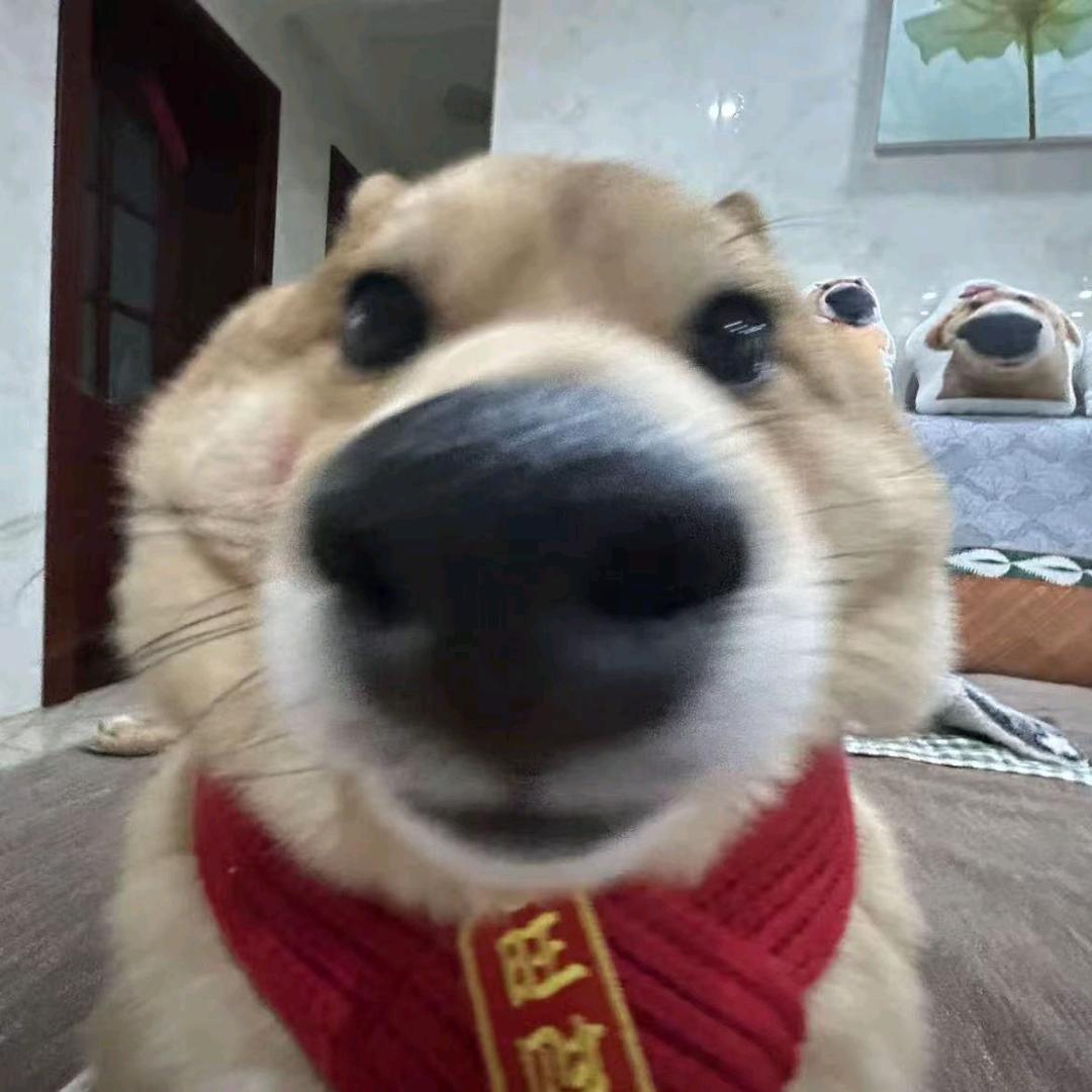 110323