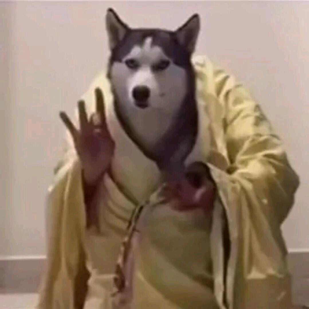 电风扇吹西瓜