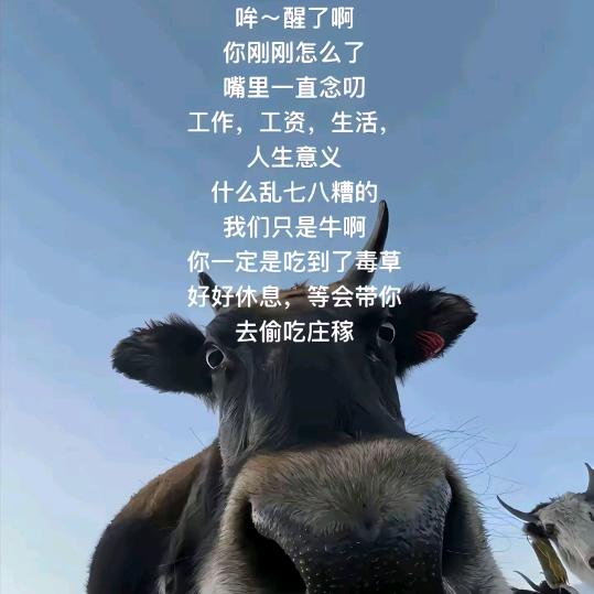 老良