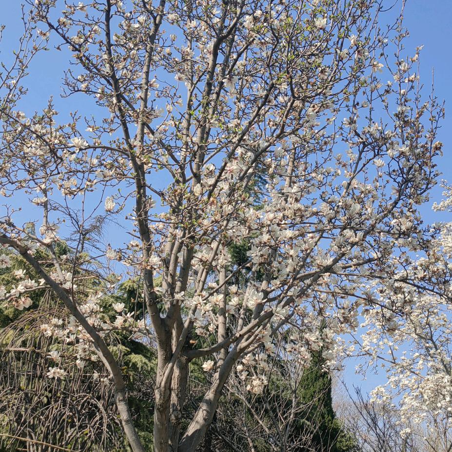 点点滴滴