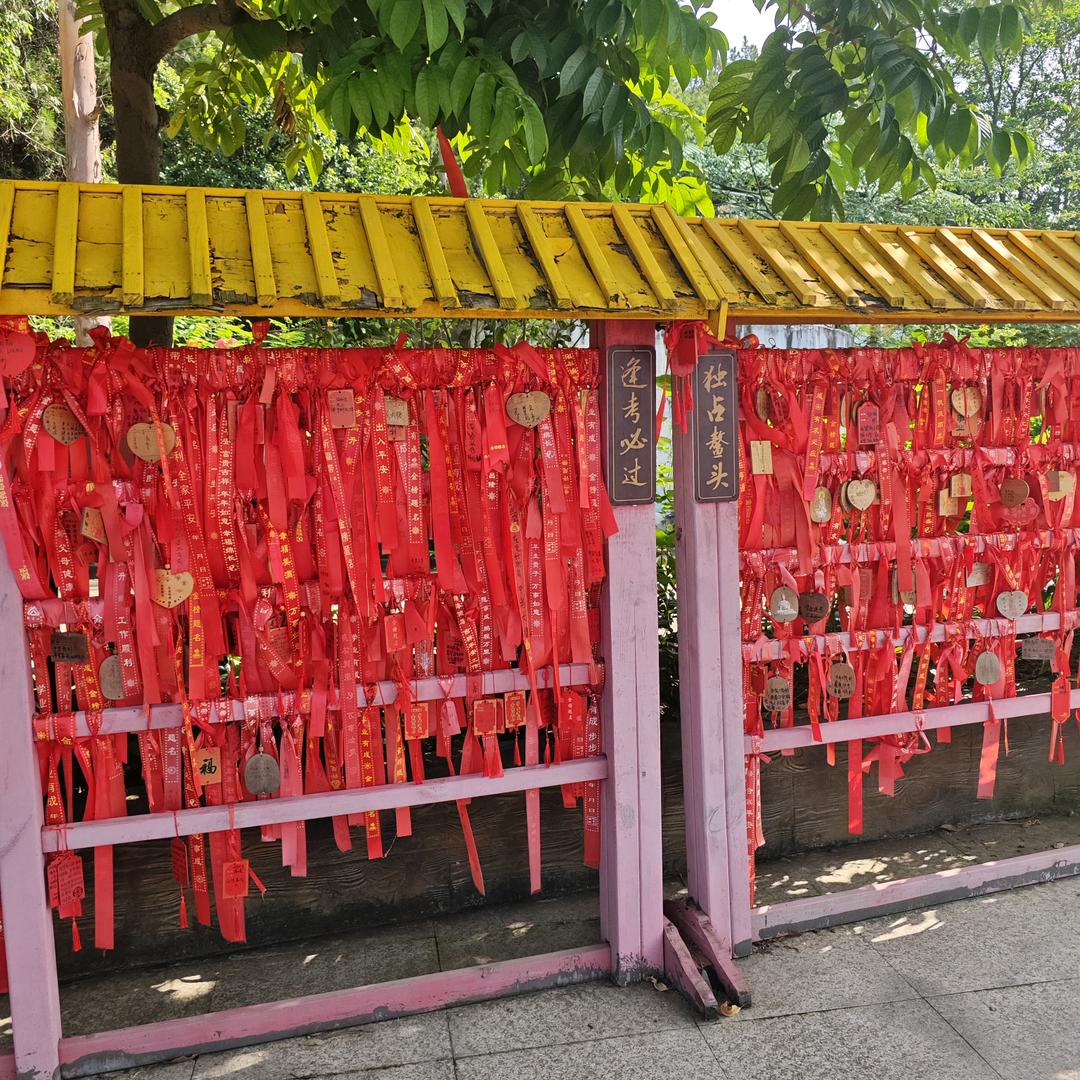 💞一人独美 ᭄: ࿐