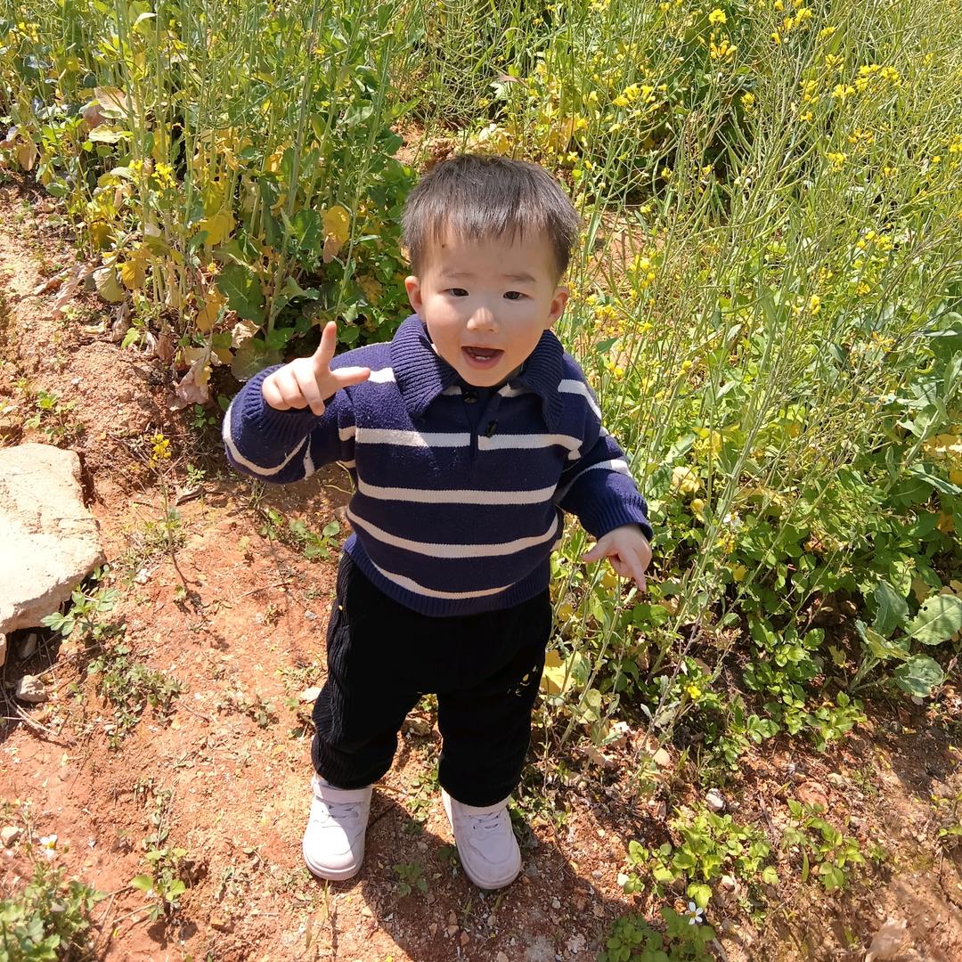 陈丽云八方来财