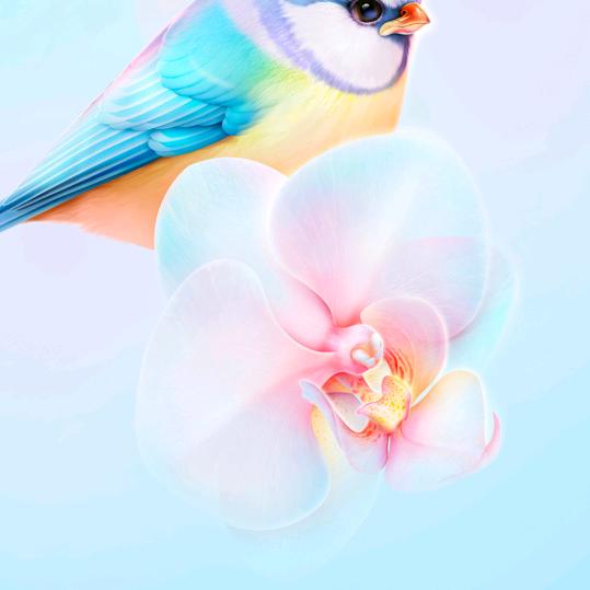 苹果香