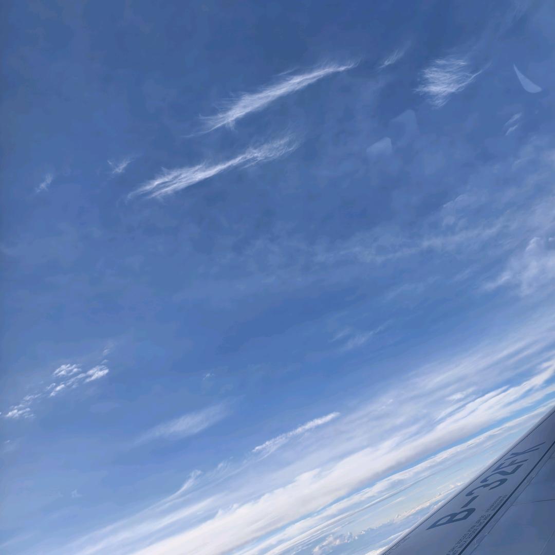 姐的人生，姐作主。