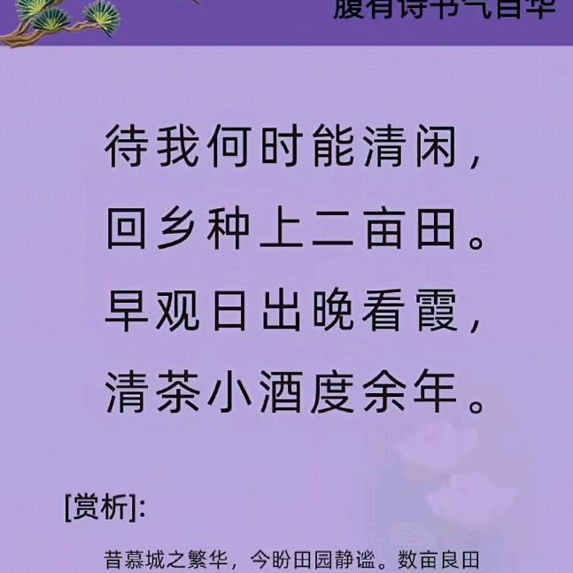 小酒清茶文案分享