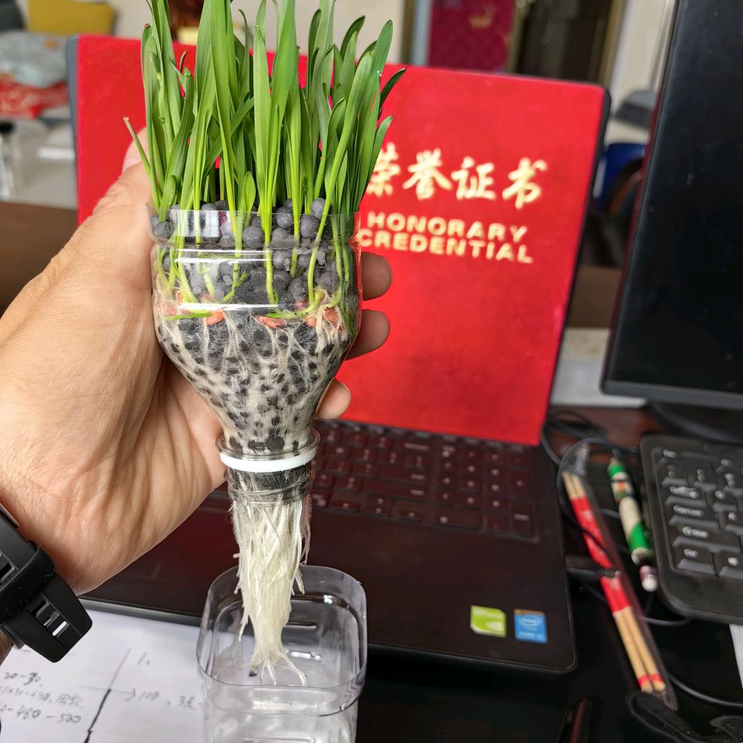 发酵鸡粪 发酵羊粪 有机肥水溶肥厂家