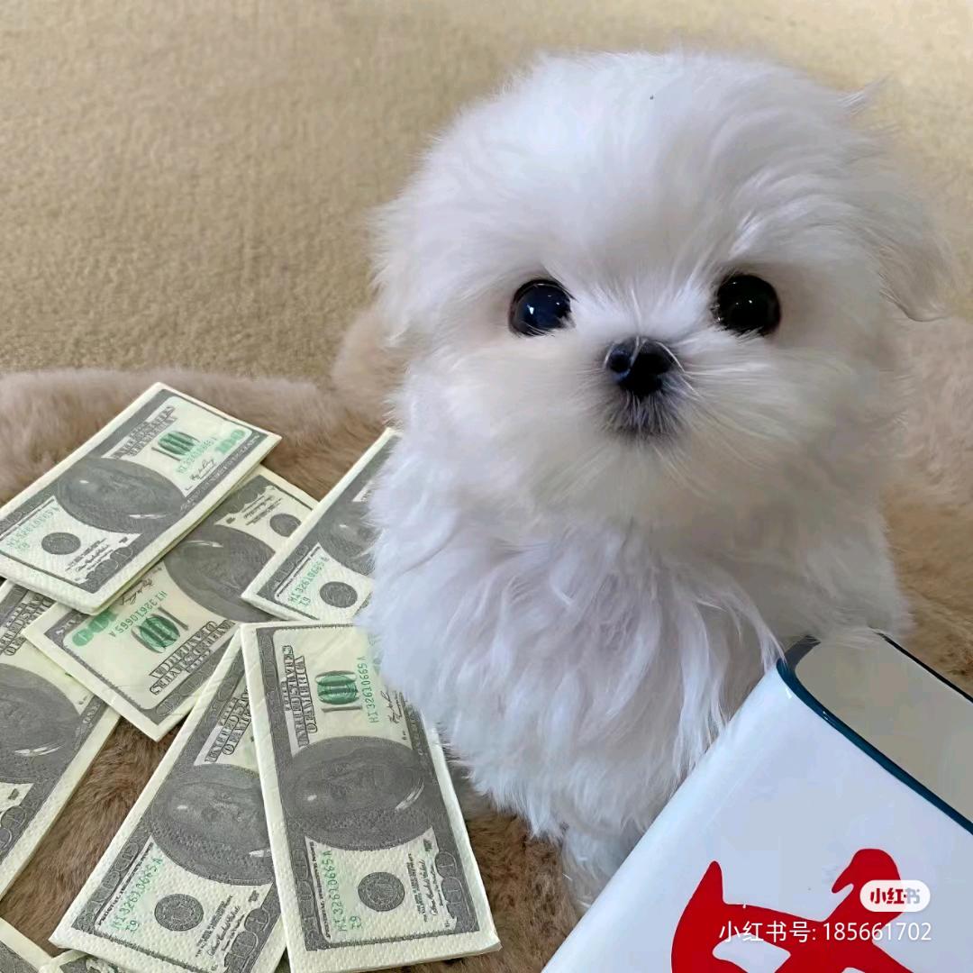 拍一下