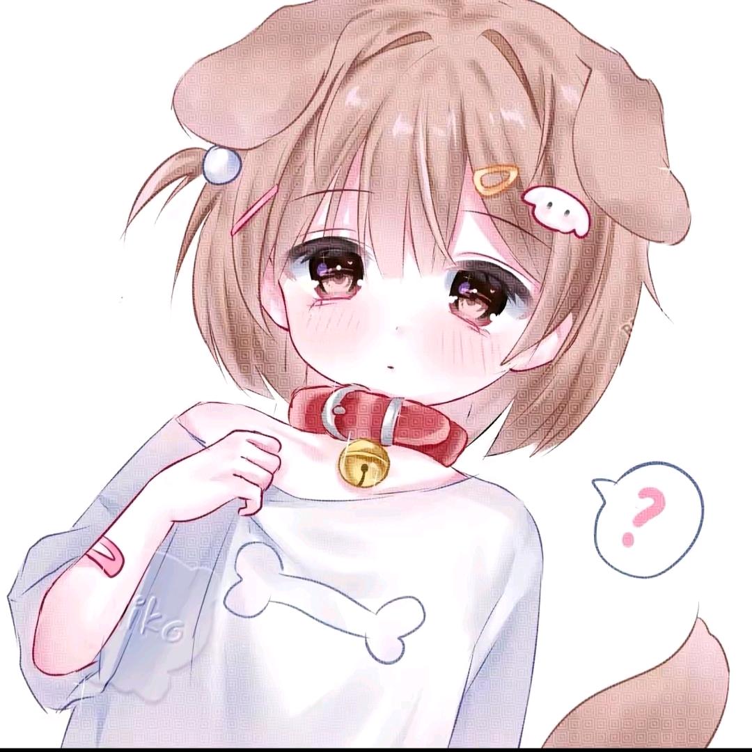 小兔纸乖乖