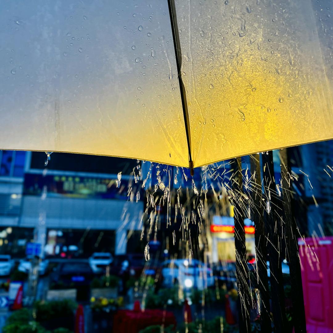 我是一棵葱葱葱