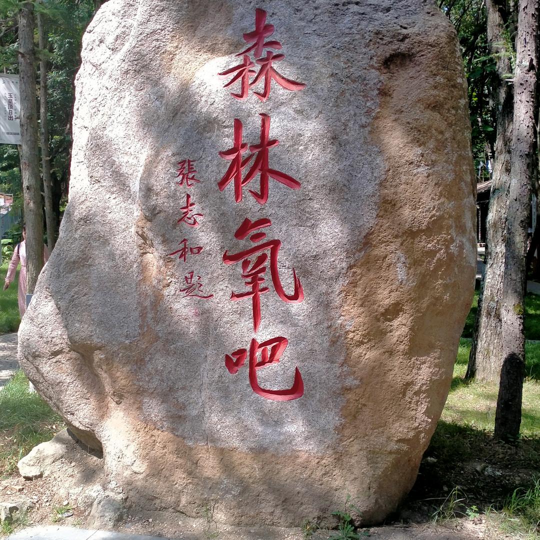 金元宝