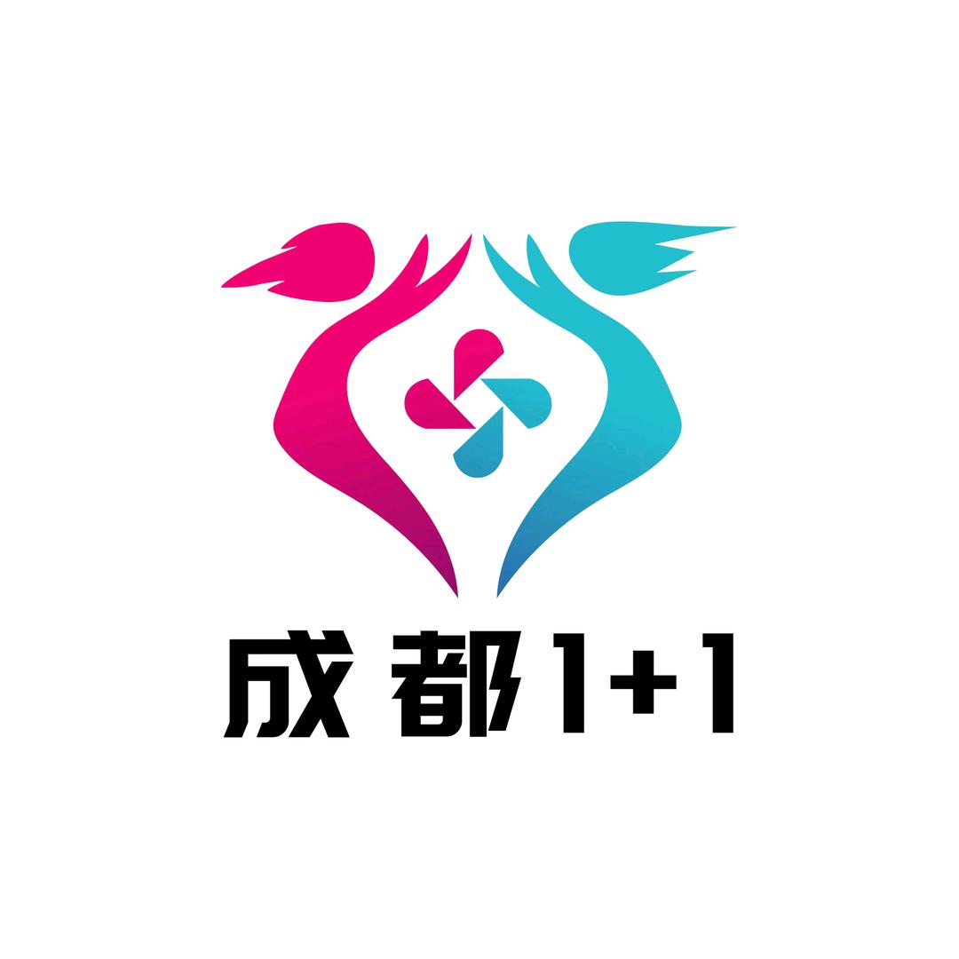 成都1+1筑梦相伴