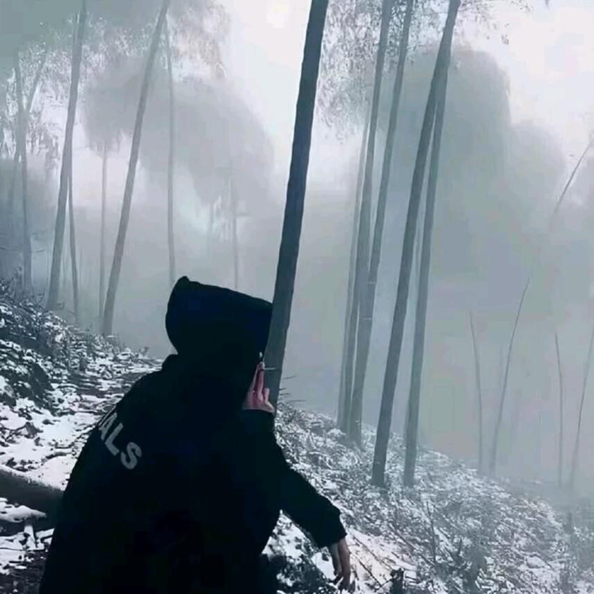 阿宝.