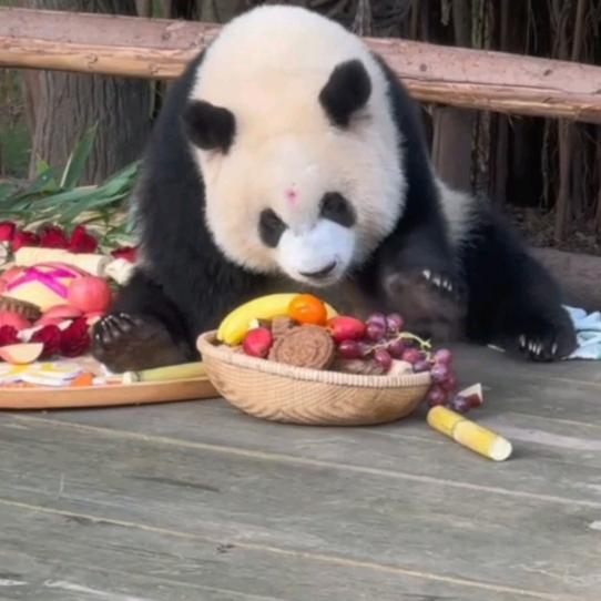 糖糖奶茶卷