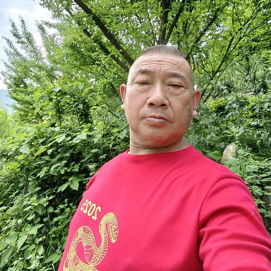 二哥