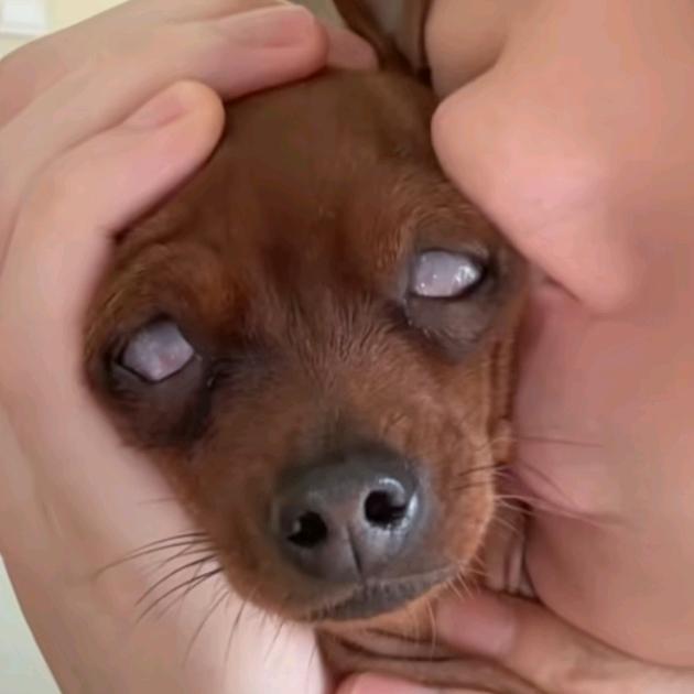 萤火虫的滢
