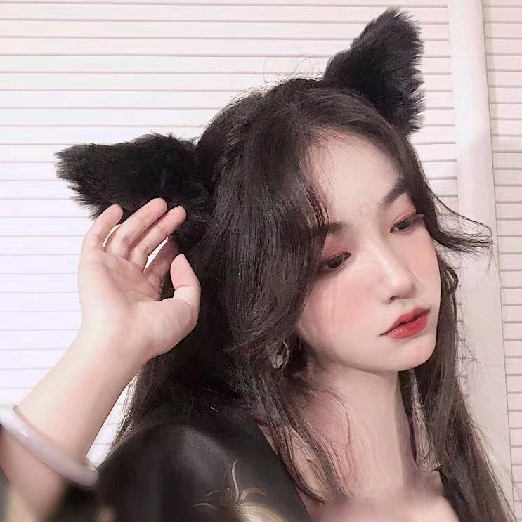 软狐