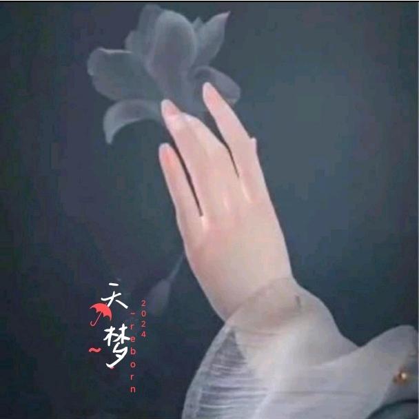 ~天梦☂~reborn