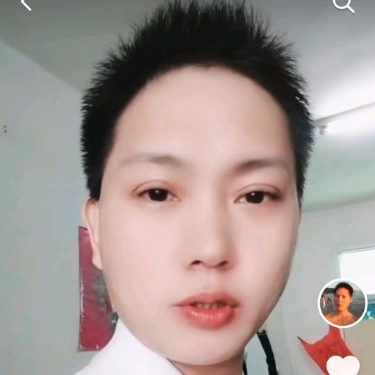 对风说我爱你