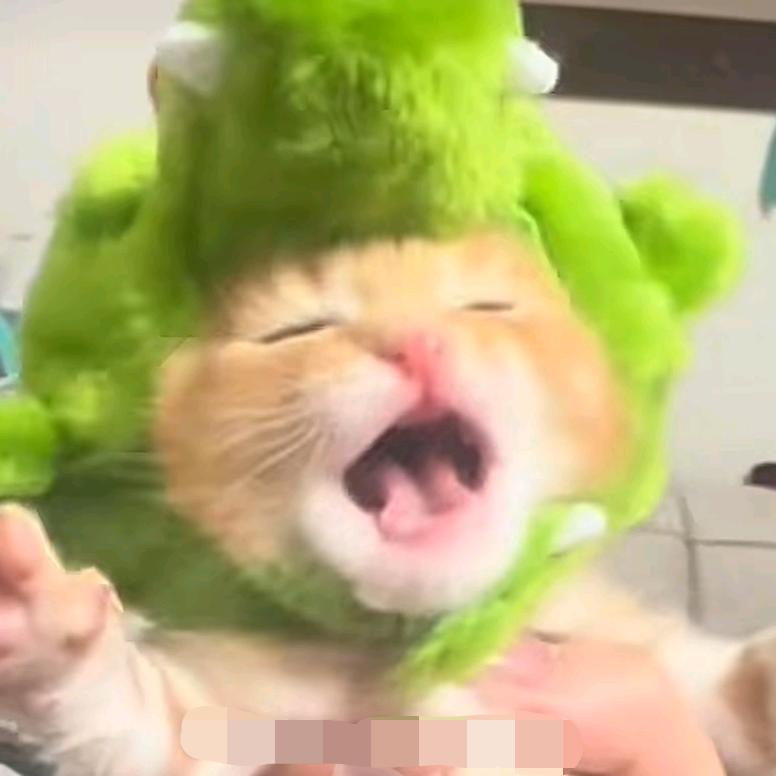 陌禾殇ベ