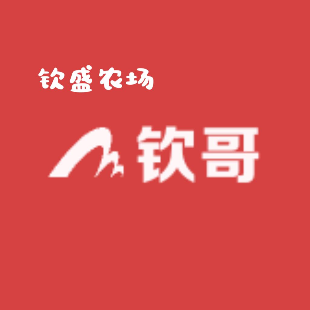 野兔塑造（钦哥）