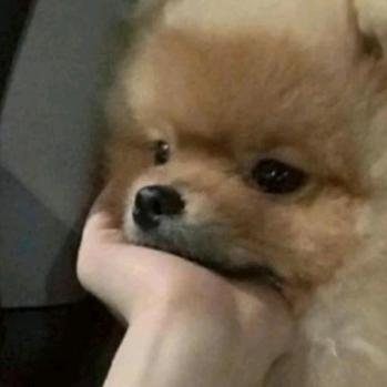 灵州