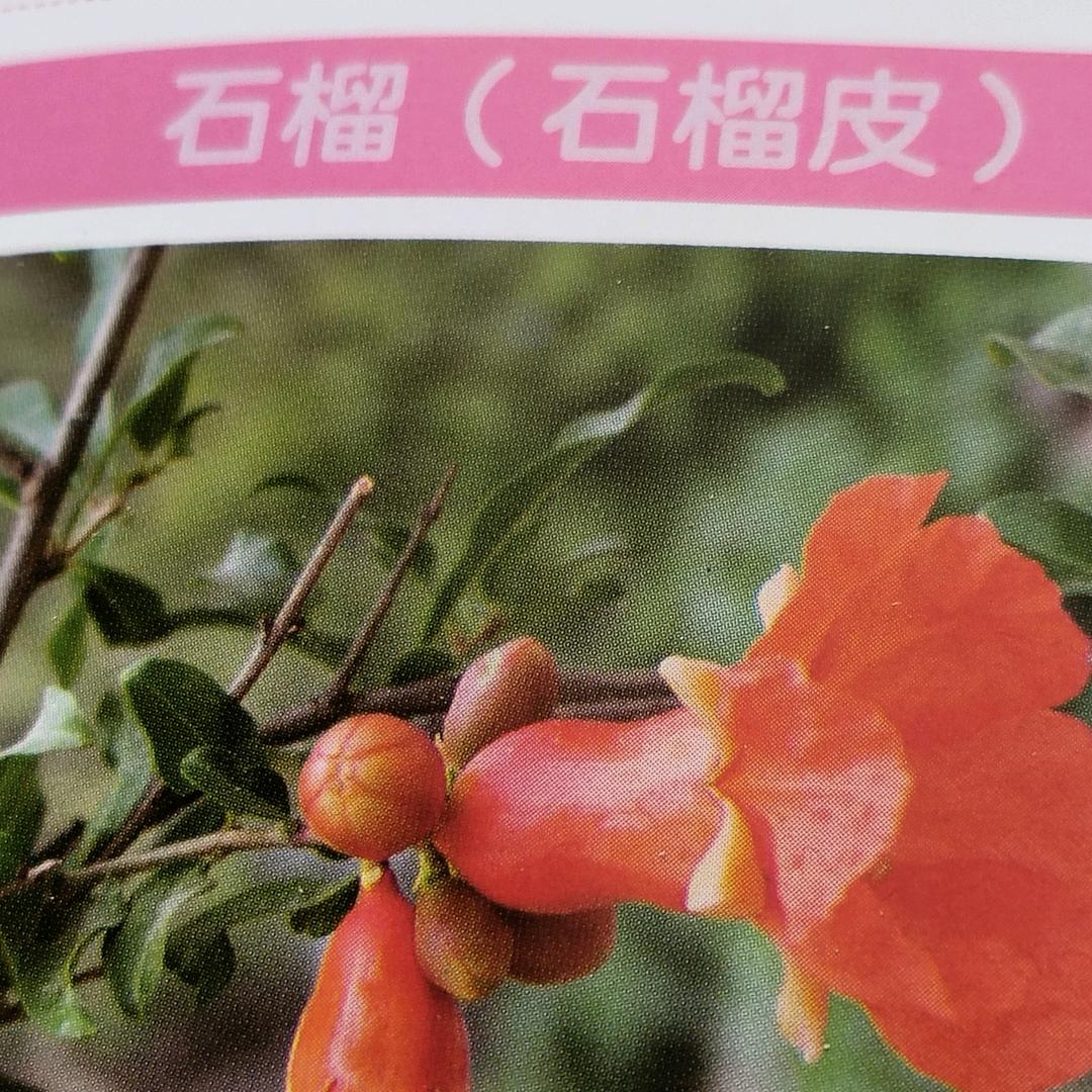 田间本草