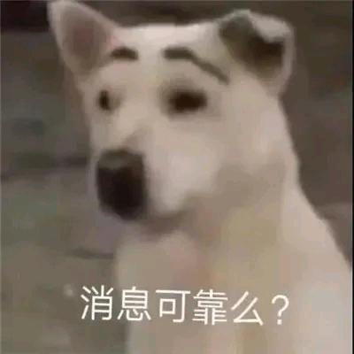 不语
