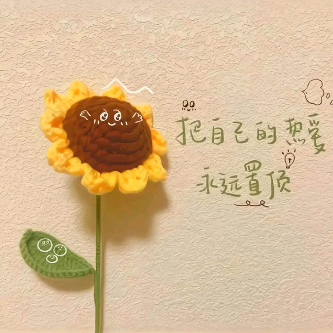 卡皮巴拉@～🍭