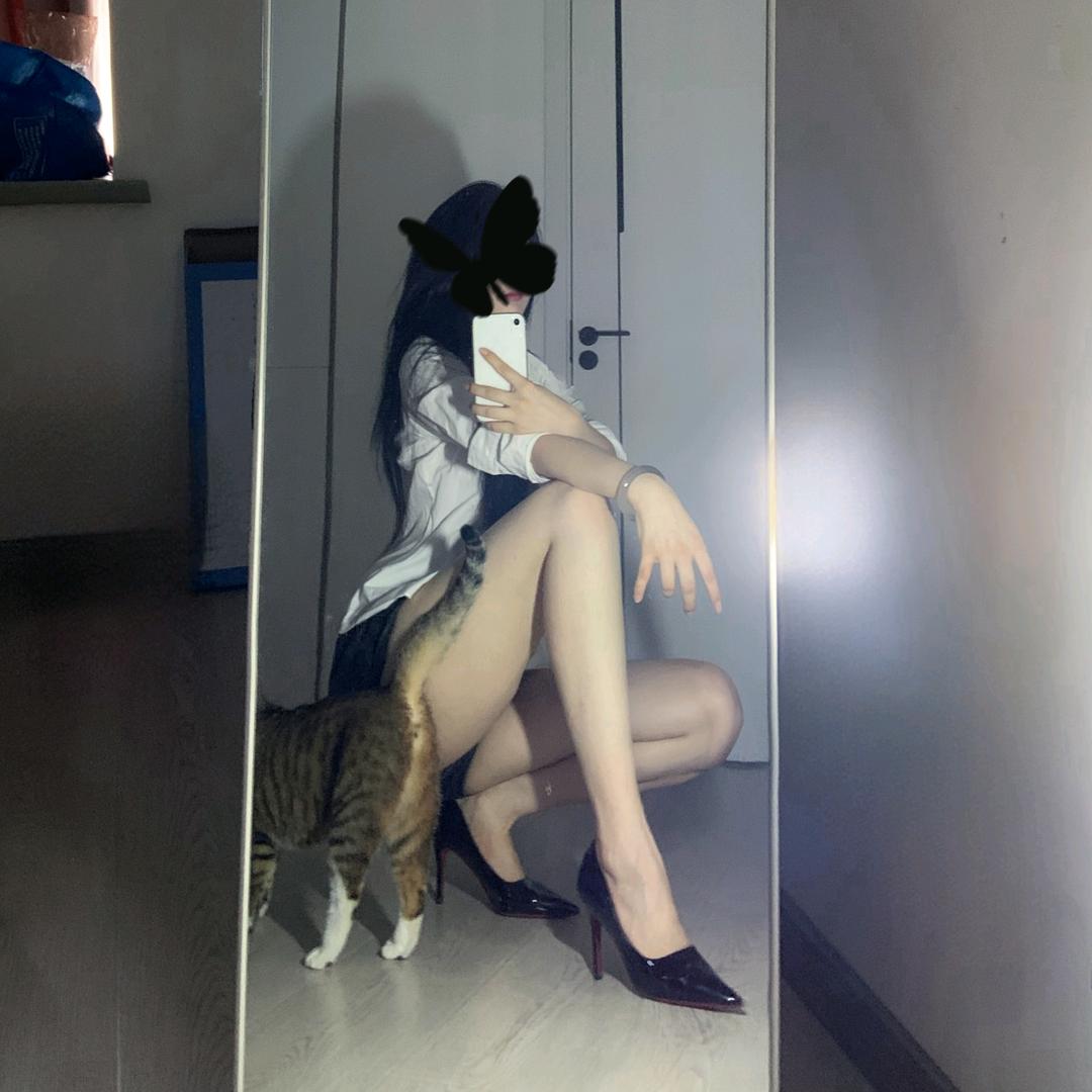 狗头姜的皇帝日记