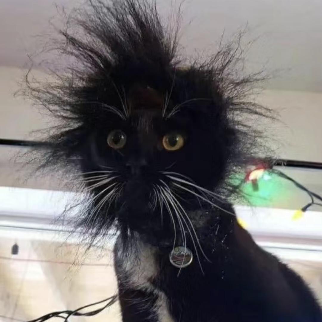 呜呦呜呦