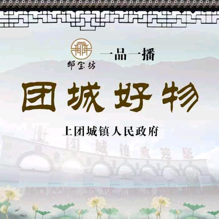 团城好物